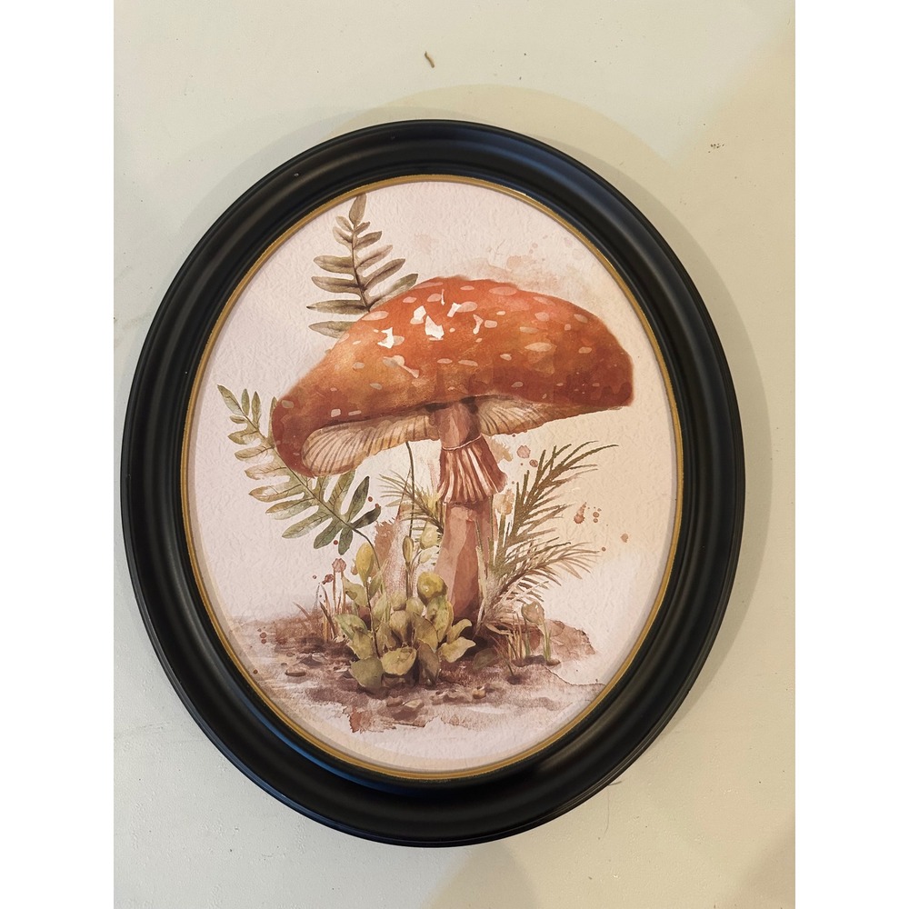 Hobby Lobby Mushroom/Fungi Framed Wall Art Red Amanita Botanical Decor 14x12